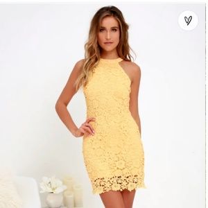 Love poem yellow lace mini dress